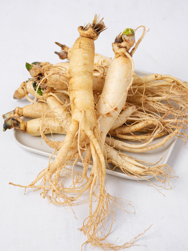 radice ginseng